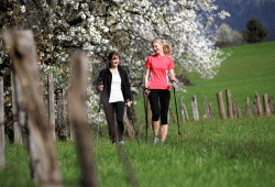 web KAM 002912 Nordic-Walking-in-der-Ferienregion-Hohe-Salve Fotograf-Hannes-Dabernig